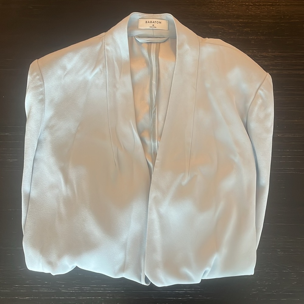Aritzia Babaton Light Blue Power Blazer XL - Picture 5 of 5
